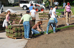 Group of volunteers laying sod